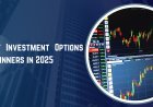 10 Best Investment Options for Beginners in 2025