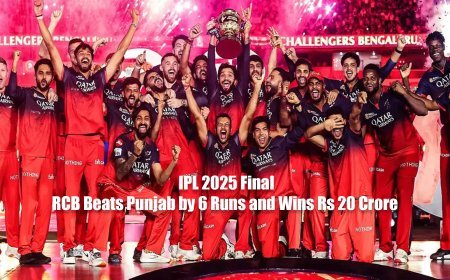 IPL 2025 Final: RCB Beats Punjab by 6 Runs and Wins Rs 20 Crore