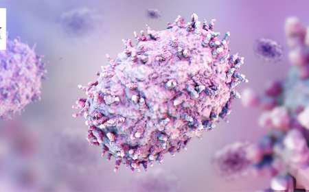 Everything You Should Know About Mpox Virus in 2025