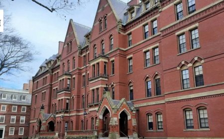 Harvard Study Shows Which Degrees No Longer Guarantee High Earnings