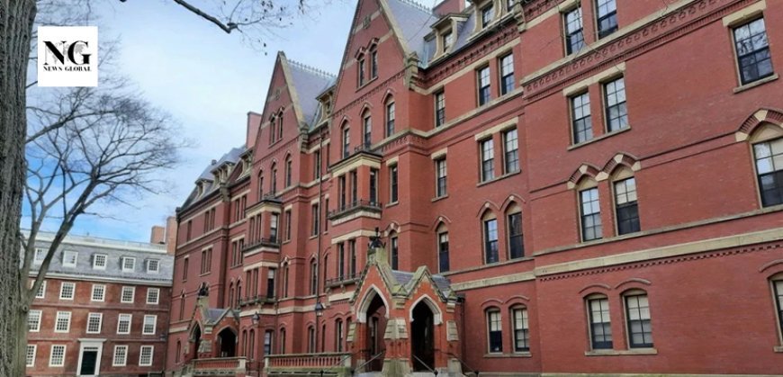 Harvard Study Shows Which Degrees No Longer Guarantee High Earnings