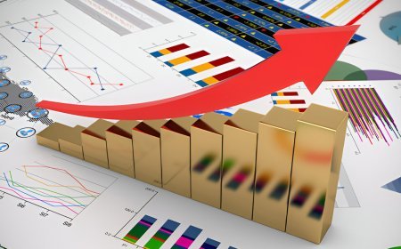 7 Best Stocks to Buy in India for Long-Term Investment in 2025