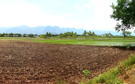 How Winter Makes Land Evaluation Easier in Telangana