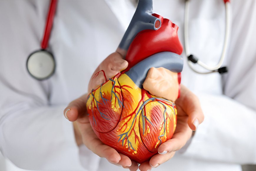 Heart Health Alert: 5 Symptoms It’s Time to See a Cardiologist
