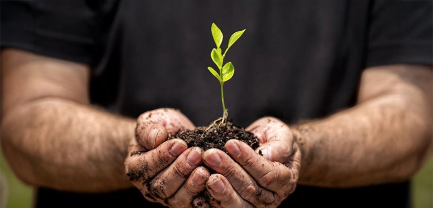 Simple Winter Tests for Soil and Water Strength