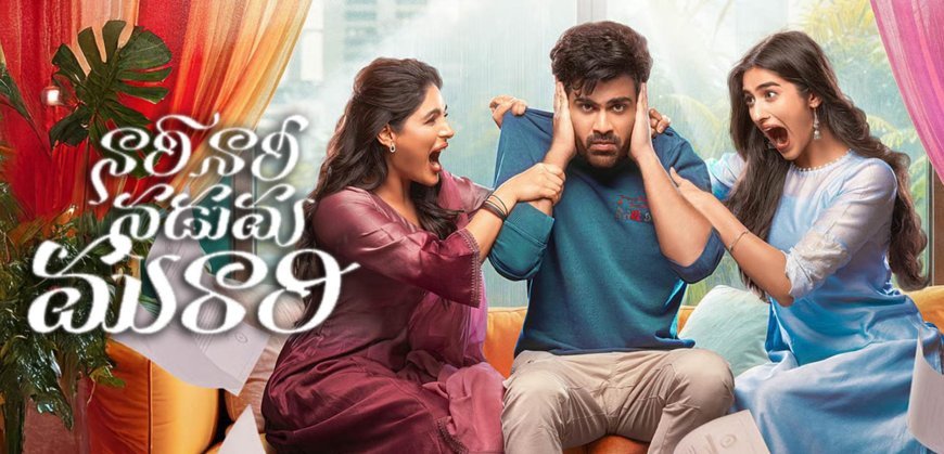 Nari Nari Naduma Murari